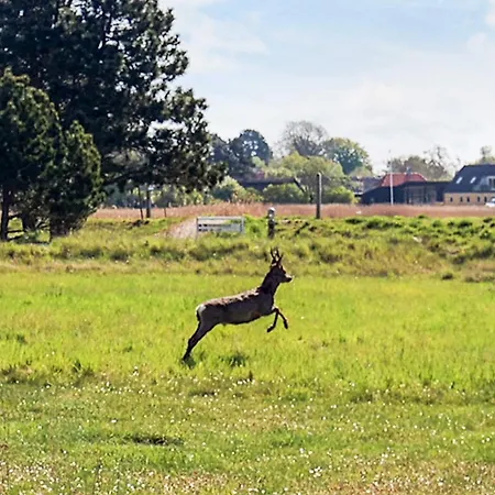 4 Person In * Karrebæksminde